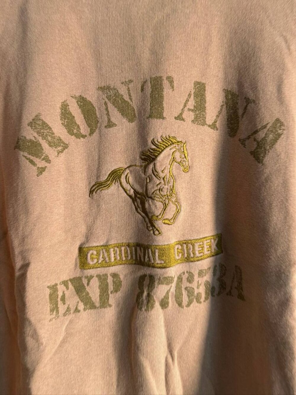 Urban Outfitters Montana Sweatshirt | Unisex (Size LG) | Brown - Picture 2 of 4